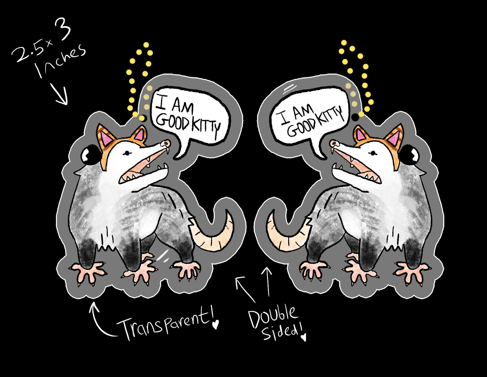 i am a good kitty possum