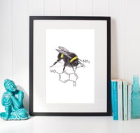 Image 1 of Bee Happy - limited edition print and Thank-You cards