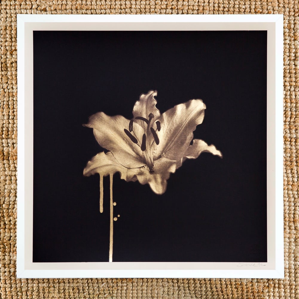 Image of Gilded Lily (Gold)