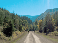 Image 4 of René HERSE Stampede Pass Tire 700C x 32