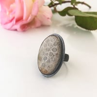 Image 2 of frozen fireworks ring