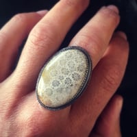 Image 1 of frozen fireworks ring