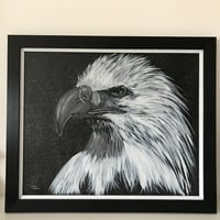 Image 1 of Eagle Eye