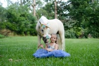 Image 9 of 2025 Unicorn/Mini Cow Minis~ {June 1st}