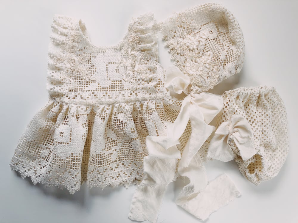 Image of Peony (6-12)