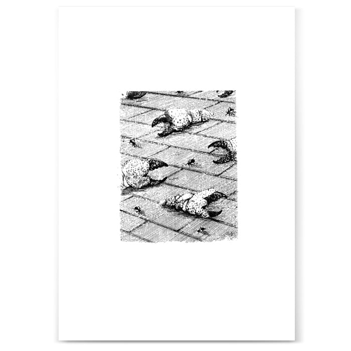 Image of Bricks, Claws and Flies print