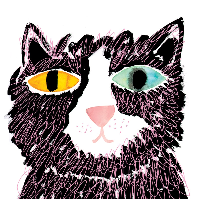 Image of Cat, 12x12 Print