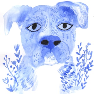 Image of Custom Pet Portraits ♥︎ $10 SPCA donation included