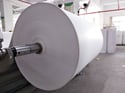 Blank White Eggshell Sticker Paper Material in Rolls