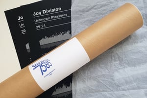 Image of Joy Division Unknown Pleasures Album Sound Wave Screen Print