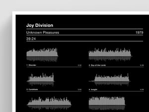 Image of Joy Division Unknown Pleasures Album Sound Wave Screen Print