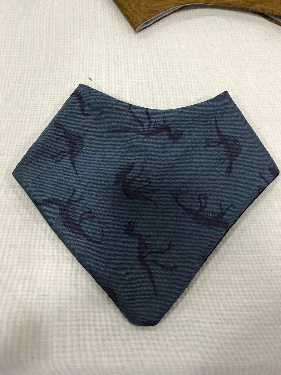 Image of Dino Bandana Bib 