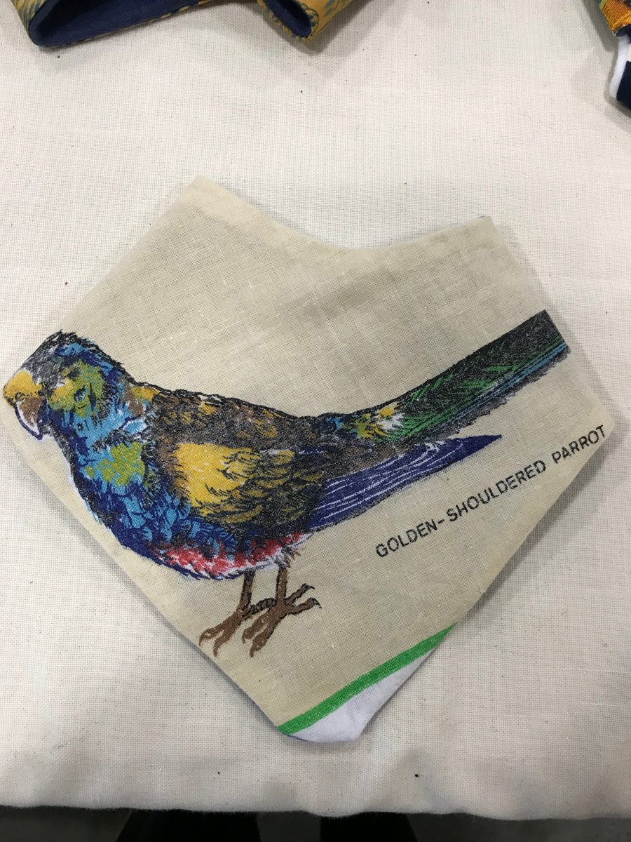 Image of Golden Shoulder Parrot Bandana - Envy Recycled Range