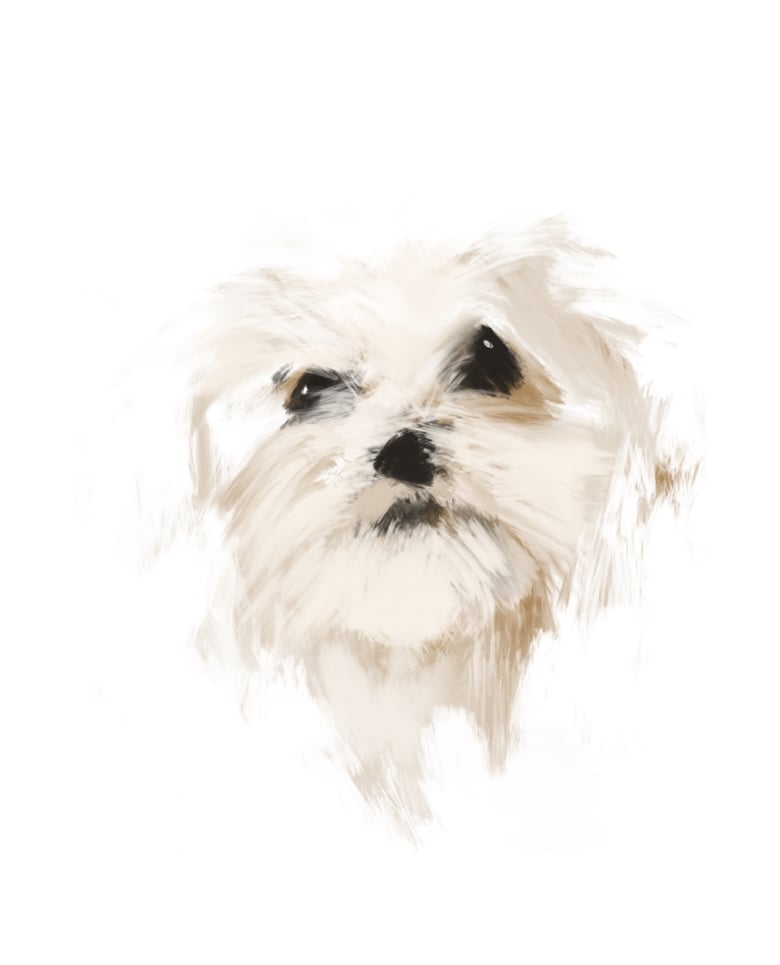 Image of Fine art print: Bed hair