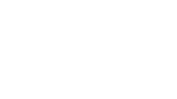 Image of CN PERMANENT NIKE + VERIFIED ACCOUNTS