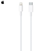 Câble USB-C vers Lightning Apple (1 m)