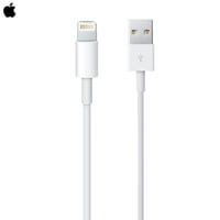 Câble Lightning vers USB Apple (1 m)