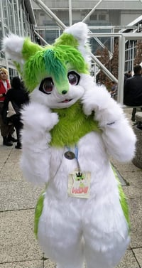 Custom mini partial