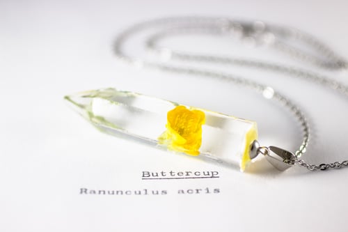 Image of Buttercup (Ranunculus acris) - Large Crystalline Pendant #1