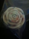 Rosebuds
