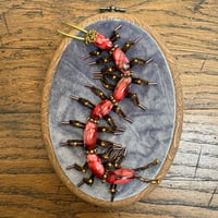 Image 2 of Centipede (d,  4x5 inches) 