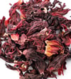 hibiscus flowers 