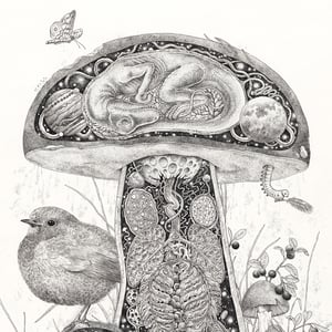 Boletus Jurassica print