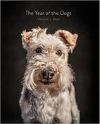 Image of Vincent Musi - <i>The Year of the Dogs</i> - SIGNED