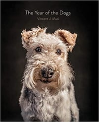 Vincent Musi - <i>The Year of the Dogs</i> - SIGNED