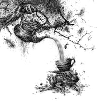 Image 2 of Ocha - Print