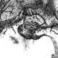 Image 4 of Ocha - Print