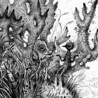 Image 3 of Ocha - Print