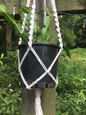 Image of Seaweed Macrame Hanger