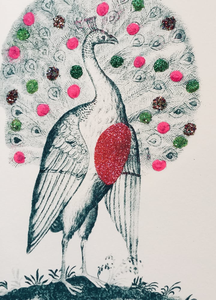 Image of Prince Peacock