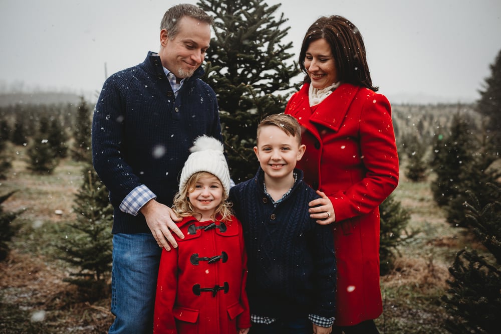 Image of Tree Farm Mini Sessions November