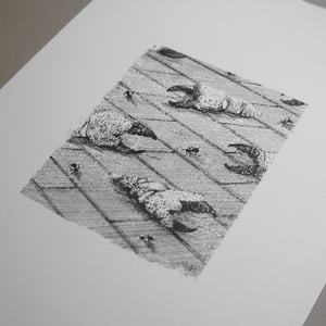 Image of Bricks, Claws and Flies print