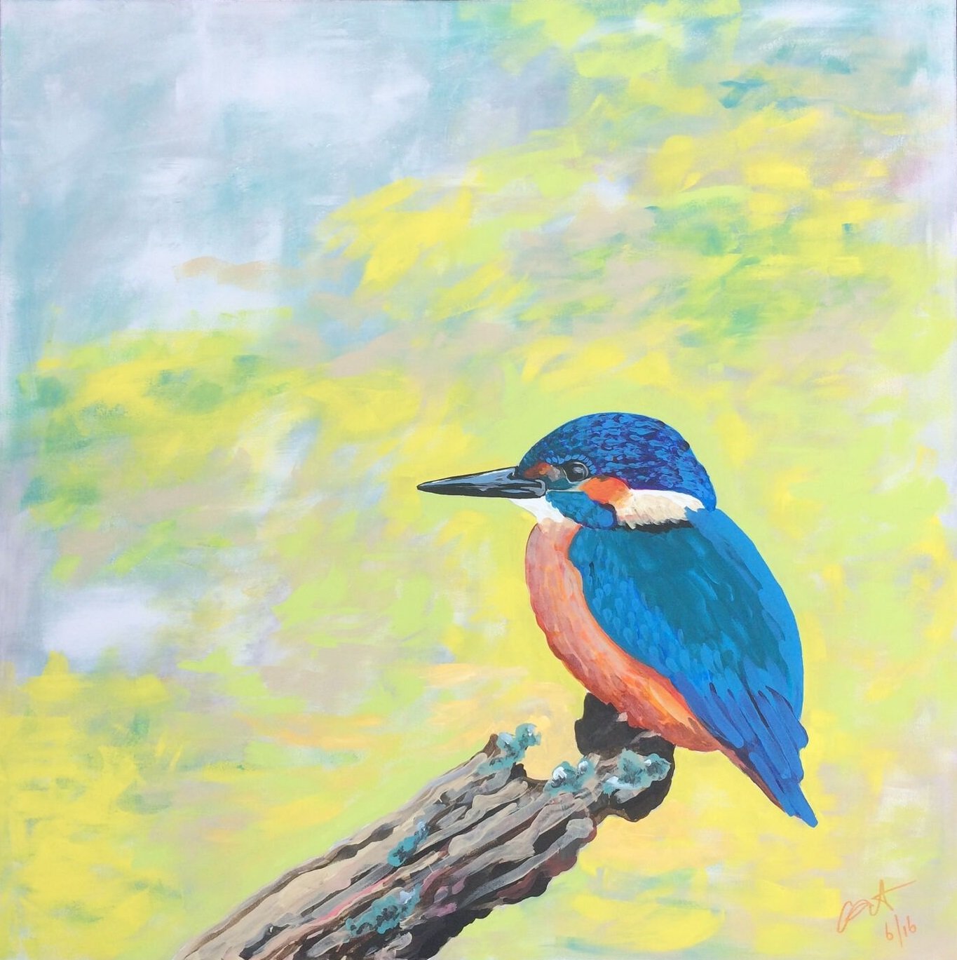 Image of Kingfisher