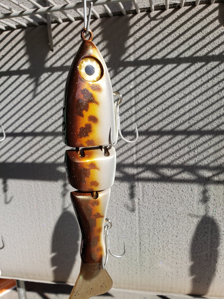 Image of 8 Inch SALTWATER. 3/4 Calico.