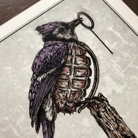Image 2 of Boomer the Blue Jay - 10x10" PRINT