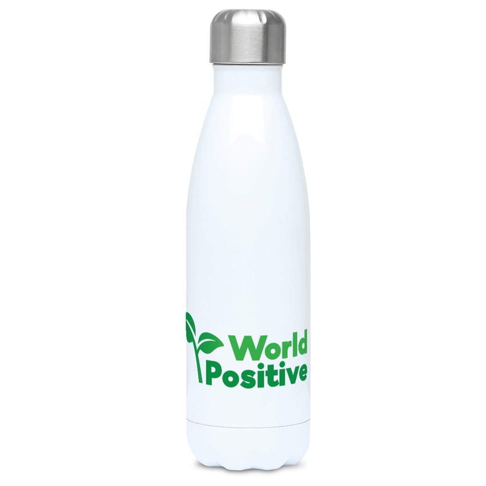 Image of World Positive 500ml Water Bottle