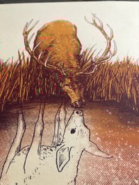 Image 2 of Elk Reflections (variant)