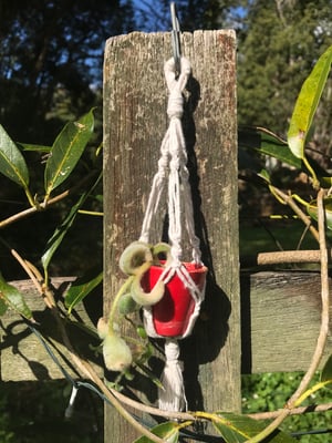 Image of Mini Macrame Hangers - White