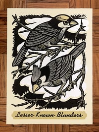 Lesser Known Blunders