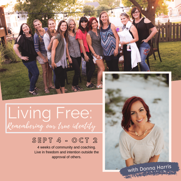 Image of Living Free : Remembering Our True Identity