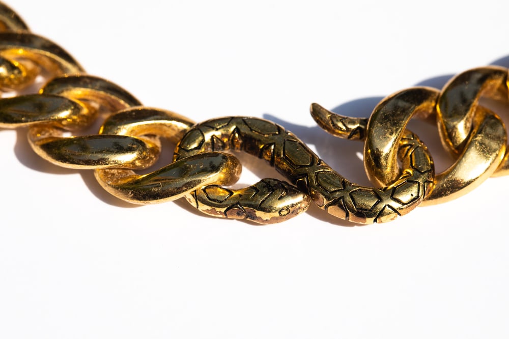 Image of Curb Chain with Snake Clasp