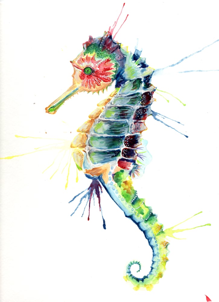 Image of Hippocampus