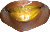 Image 2 of High Intensity Lip Gloss  (HILG)