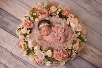 Image 4 of Venice - Woodsy Collection