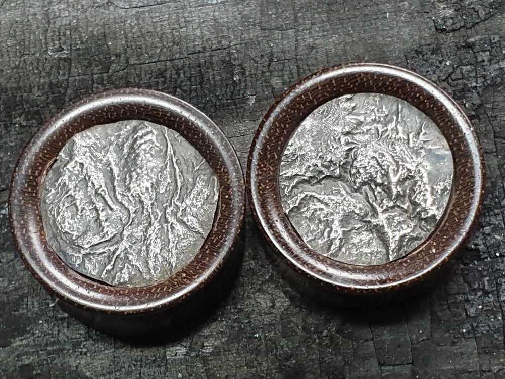 Image of 24mm Reticulated silver plugs