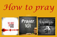 Praying 101 Series DVD